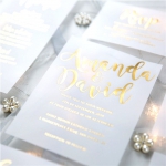 luxury modern custom foil wedding invitation suites on vellum paper VIP001