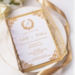 Elegant gold laser cut wedding invitations, vellum belly band, foil, monogram, royal, spring, fall, winter WS114 