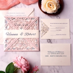 Modern simple blush and navy invite, laser cut wedding invite, elegant and soft, spring and summer, cheap invite WS134