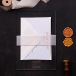 Royal gold monogrammed acrylic wedding invitations, foil wedding invite WS188