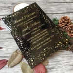 Black acrylic wedding invitations with an array of stars decors, gold wedding invitations, fall and winter weddings WS250