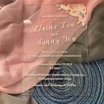  Blush floral rustic acrylic wedding invitations, clear country wedding invitations  WS252
